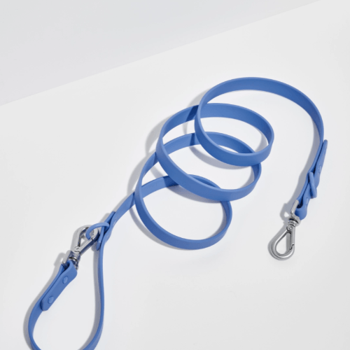 Durable Dog Leash Moonstone - Sir Dogwood