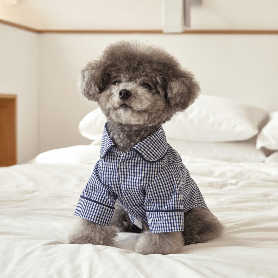 Cotton Check Sleepwear Top Navy - Sir Dogwood