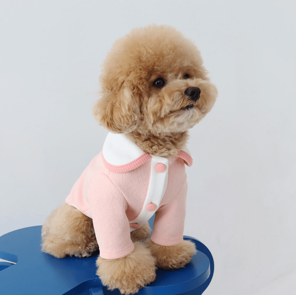 Blooming Collar Cardigan Coral Pink - Sir Dogwood